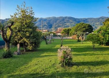 Terreno agricolo