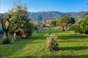 Terreno agricolo