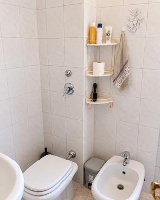 Posto letto fronte COLOGNO CENTRO M2-300 eu