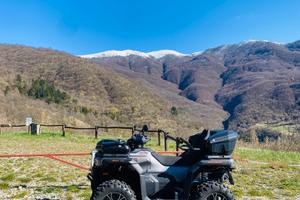 Goes Terrox 1000- quad
