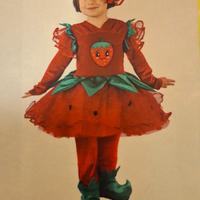 Costume Carnevale Fragoletta 