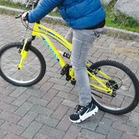 MTB Masciaghi Hogan  20"