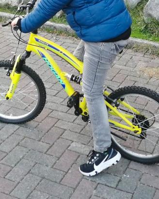 MTB Masciaghi Hogan  20"