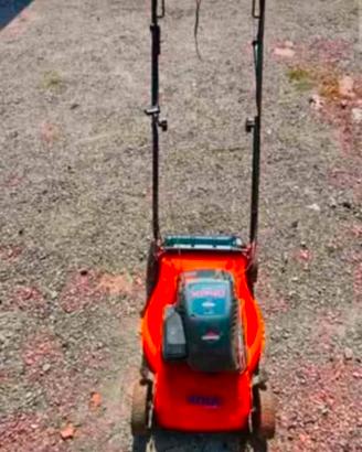 Taglia erba Briggs stratton