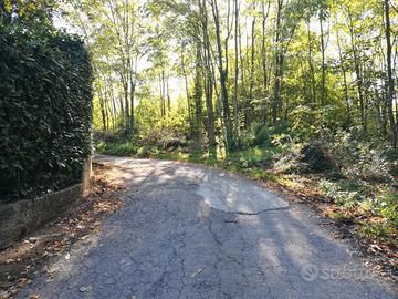 Atripalda ampio terreno con rudere