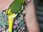 Immagine 1