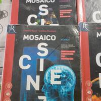 mosaico, libri di scienze 