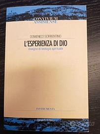 L'Esperienza di Dio.