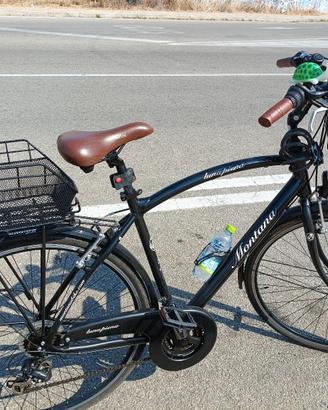 Bicicletta da passeggio