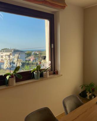 Ampio appartamento in zona residenziale - R38