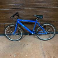 Bici mountain bike