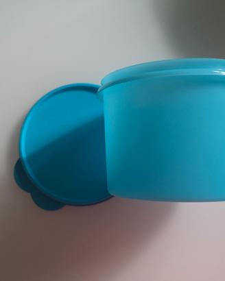 Contenitore Tupperware 