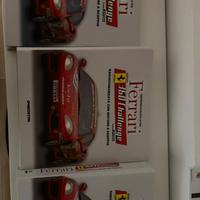 Ferrari 360 challange modellino