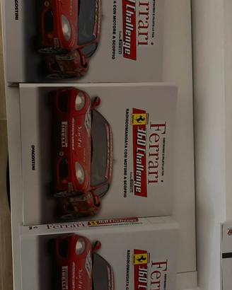 Ferrari 360 challange modellino