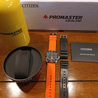 Citizen Promaster Aqualand eco drive