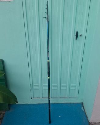 canna surf casting 