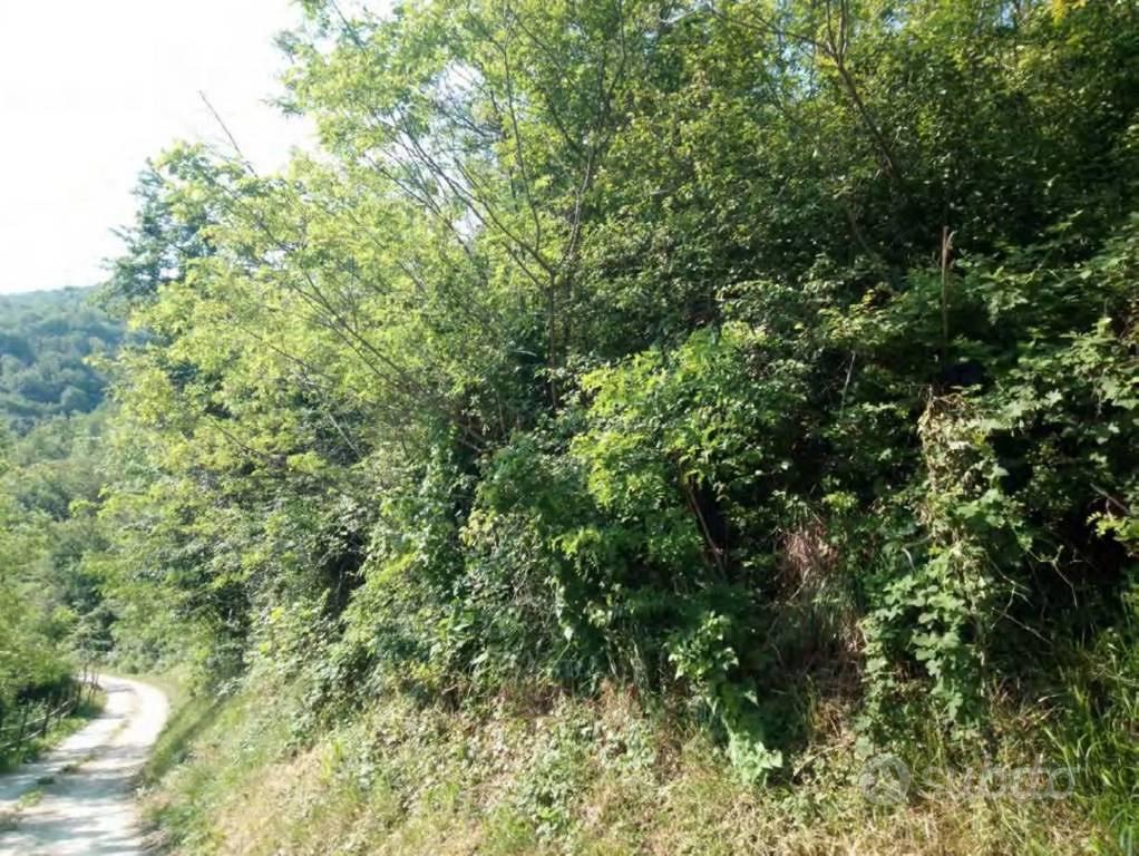 Immobile in asta di 91609 m² a Pianello Val Tidone - Altro