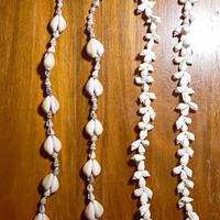 COLLANE CON CONCHIGLIE 