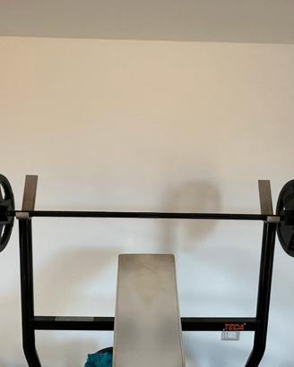 Dischi e bilancere olimpionico