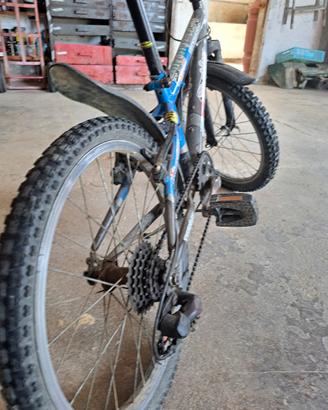 bicicletta bambino