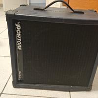 polytone mini brute I