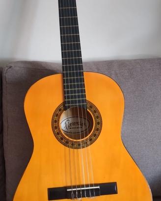 Chitarra acustica