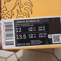 LeBron Witness 46