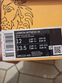 LeBron Witness 46