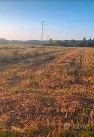 Terreno agricolo