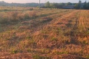 Terreno agricolo