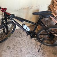 Mountain bike schiano