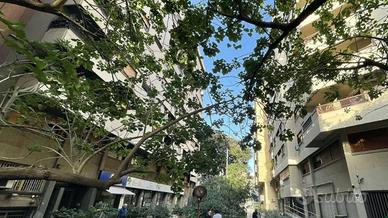 Libertà-Heloise: locale ristrutturato 250 mq 2 luc