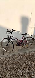 bicicletta donna benotto
