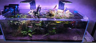 acquario completo 