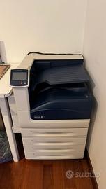 stampante Xerox phaser 7800