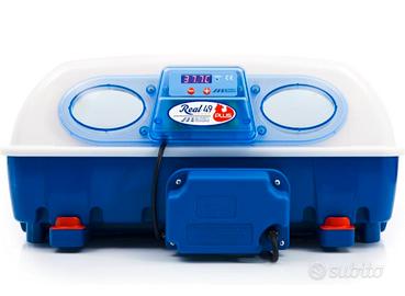 Incubatrice Borotto + materiale fertile 