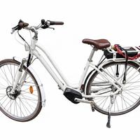 Bicicletta elettrica a pedalata assistita
