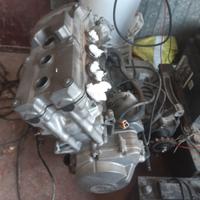 honda ornet