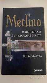 "Merlino: il destino di un mago" di Luisa Mattia