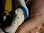 Immagine 5