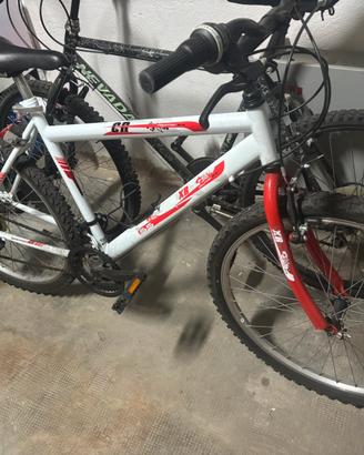 Montain bike 26