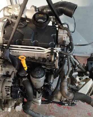 Motore Seat Ibiza / Volkswagen Polo 1.4 TDI BNV
