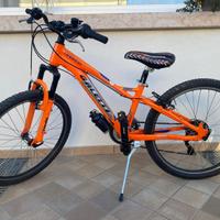 Bicicletta Galetti