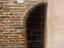 Immagine 11