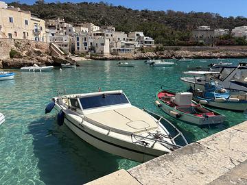 Barca Fiart Super Arrow 24
