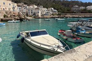 Barca Fiart Super Arrow 24
