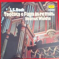 dischi in vinile 