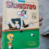 gatto Silvestro 