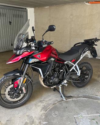 Triumph Tiger 900 GT 2024