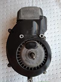 motore piaggio ciao bravo si boxer Grillo cba ecco